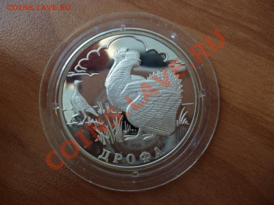 1 рубль 2004 Красная книга Дрофа серебро 11.03 - P1020268.JPG