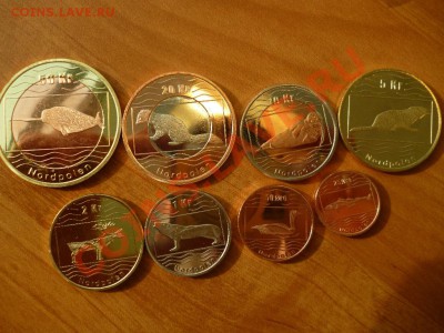 Северный полюс Норвегия животные 11.03 - P1020336.JPG