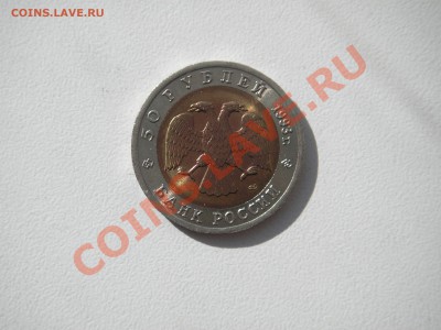Красная книга. Черноморская афалина . До 20.00 мск 09.03.13 - 006.JPG