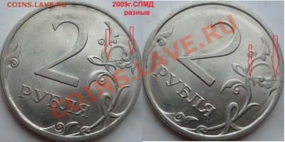 9 разных расколов на современной хорячке до 12 марта - P1140056.JPG