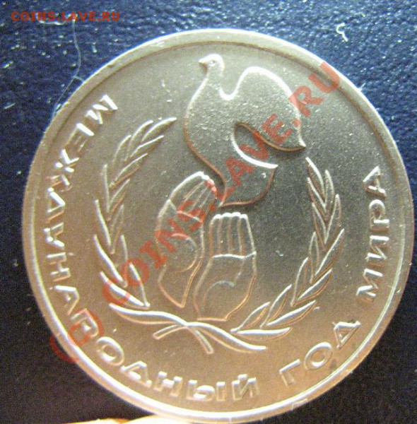 1р ГОД МИРА "ШАЛАШ" - 82.JPG