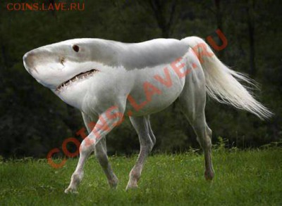 делает - прямо сейчас !!! - e_BCvgrE8pg