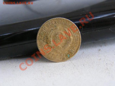 5,3,1 коп+бонус. до10.03.12г.до 22.00 - P3051139.JPG