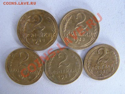 Бонус - P3051164.JPG