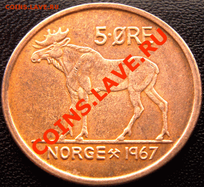 Норвегия_5 эре 1967 "Лось", чеканный блеск. До 7.03_22.06мск - 4692