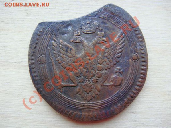 ДВУХА КОЛЬЦЕВИК 1802 - 814259578_1