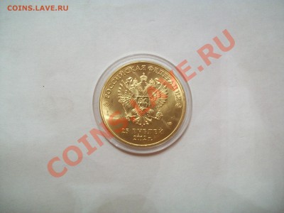 Сочи талисманы позолото, до 10.03.13  23-00 - 102_2586.JPG