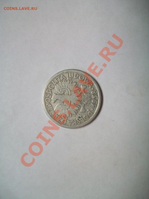 2 злотых 1958г польша, до 14.03.13  23-00 - 102_2593.JPG