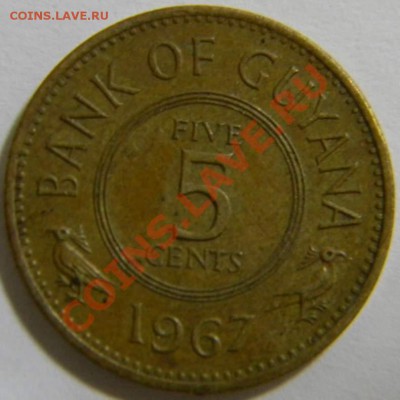 5 центов Гаяна 1967г. - DSCN4968_thumb