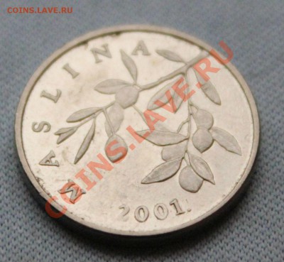 Конкурс «Veni Vedi Vici» - IMG_3090.JPG