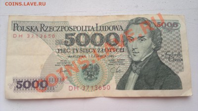 Оцените польские злотые - 080320131482