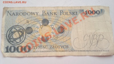 Оцените польские злотые - 080320131484