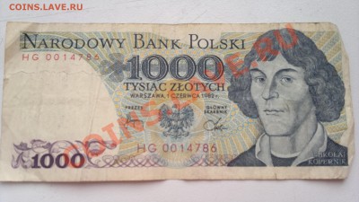 Оцените польские злотые - 080320131485