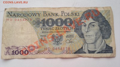 Оцените польские злотые - 080320131487