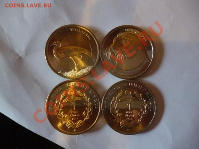 Турция 1 лира 2013 года Новинка (по фиксу) 12.03 - P1020388.JPG