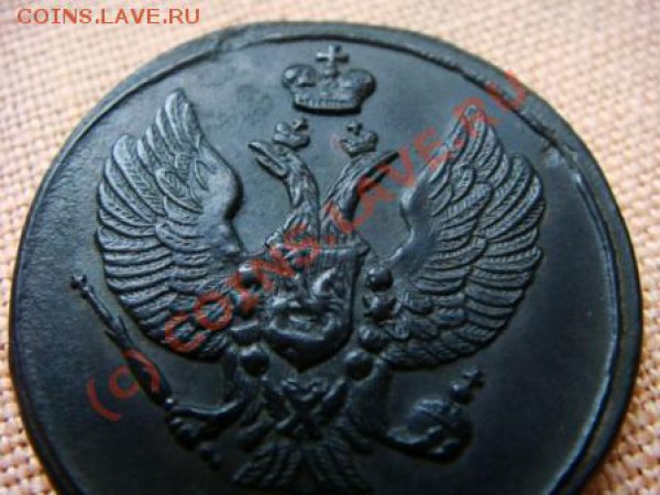 двухана оценку" тетерев." - DSC06830.JPG