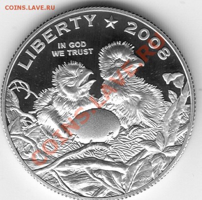 Американские коммеморативные полтинники США (1892-1954) - IMG_0046