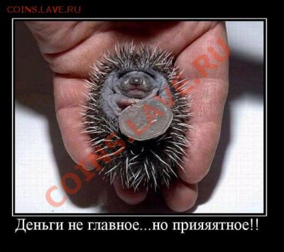 делает - прямо сейчас !!! - Dy-rjuqLDVM