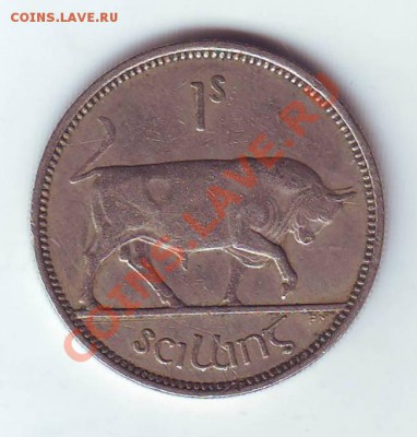 Ирландия.Шиллинг.1954.Бык. до 15 Марта.в 22.00 мск - 19540005.JPG