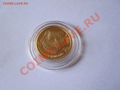 25 рублей Бурый медведь 1993 - IMG_5035.JPG