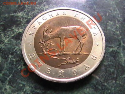 КРАСНАЯ КНИГА 1994  РАСКОЛЫ НА ДЖЕЙРАНЕ - 3044980589_1