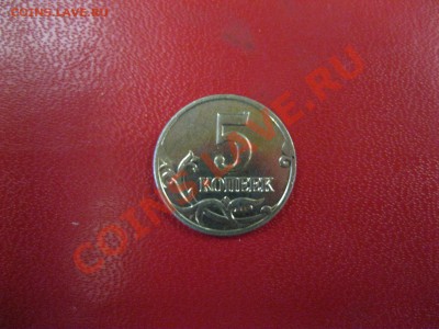 б - IMG_5507.JPG
