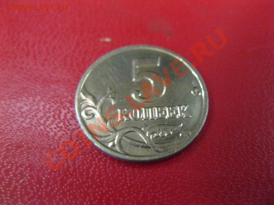 б - IMG_5511.JPG