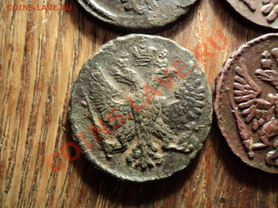 Деньга 1738,39,46,48,49,50. Сохран. До 16.03.13г. 22-00Мск - DSC01025.JPG