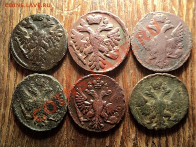 Деньга 1738,39,46,48,49,50. Сохран. До 16.03.13г. 22-00Мск - DSC01023.JPG