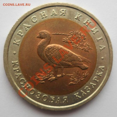 10 рублей 1992 Казарка  Красная книга  до 14,03,2013  22-00 - к1