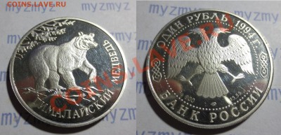 1 рубль серебро, сапсан,  гим. медведь и винт. козёл Оценка - IMG_1211.JPG