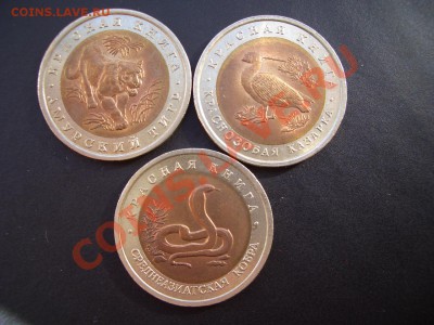 Красная книга 1992 г.-15.03.13-22.00 Мск. - Jubilejka 124