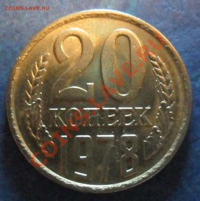 20к78 - SAM_3437.JPG