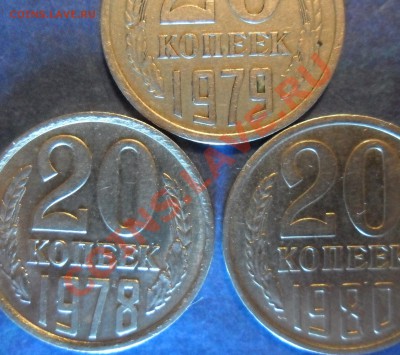 20к78 - SAM_3445.JPG