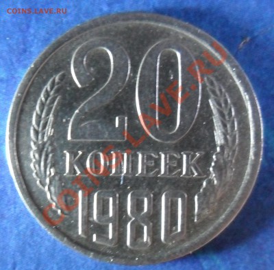 20к78 - SAM_3432.JPG