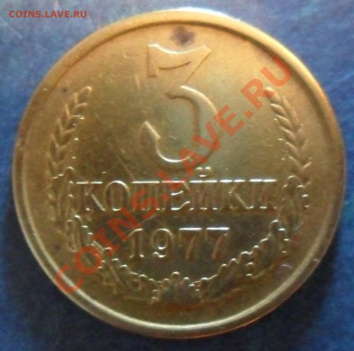 3к77 - SAM_3438.JPG