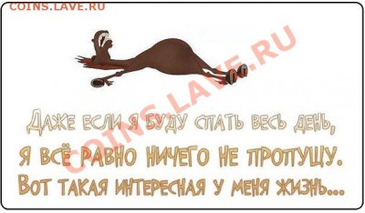 делает - прямо сейчас !!! - rZY9pg3UY7A