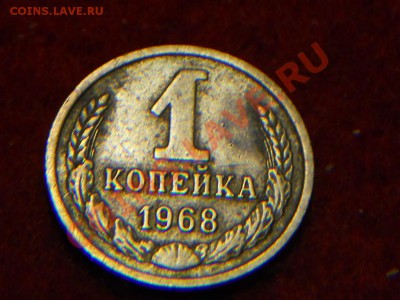 1 - DSCN1596.JPG