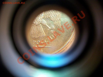 10 р. 2010г., помощь в определении - 102_2658.JPG