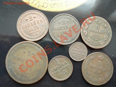 7 монет 1811 - 1861 гг. медь, есть симпатичные - P1330177.JPG