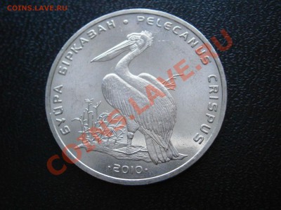 Казахстан 50 тенге Пеликан до 15.03.12. 22-00 мск - P3130763