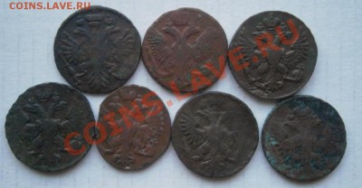 деньга 7 штук до 17.03.2013.в 22.00 по Мск - P3090030.JPG