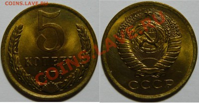 5 копеек 1961,74,76,77,78,79,80,81 aUNCдо19,03,13(ВТ)в 22,00 - P1050225.JPG