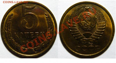 5 копеек 1961,74,76,77,78,79,80,81 aUNCдо19,03,13(ВТ)в 22,00 - P1050235.JPG