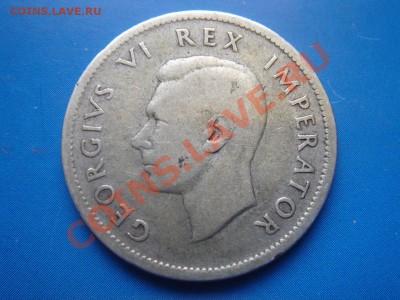ЮАР: Ag-800 шиллинг 1940 Георг 6 до 12.03.13, 22-00 - ЮАР шиллинг 1940-2.JPG