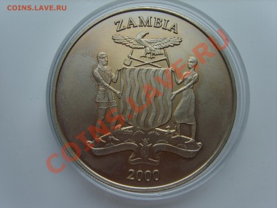 10 Квача.Замбия. 2000г.до 18.03.13. до 22.00. - S8303664.JPG