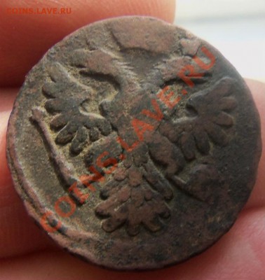 Деньга 1738 года до 17-03 - Изображение 1279