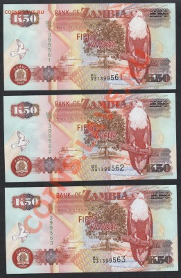 50 квача 2009 г. Замбия. UNC 3шт. до 22-00 мск 17.03.13г. - замбия 50 квача 3шт аверс