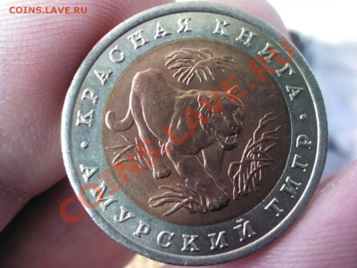 Куплю Красную книгу 1991-94 БИМ в ЛЮКСЕ(В архив) - 1363343693623