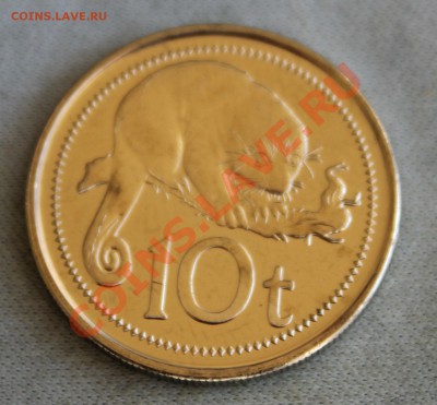 ПАПУА НОВАЯ ГВИНЕЯ 10 тоэа 2006г.ГРЫЗУН до 21.03.13г.в 22-00 - IMG_5214.JPG